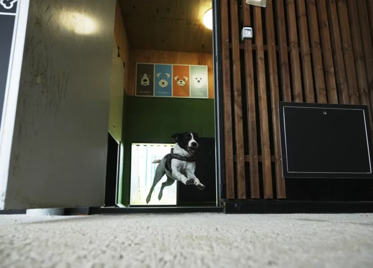 Hotel para perros