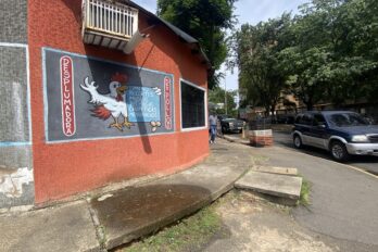 Pollo
