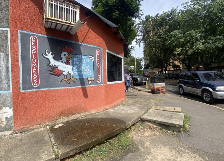 Pollo