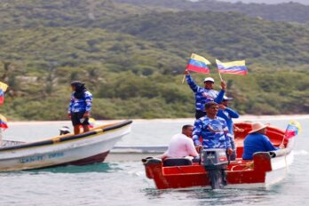 cámaras