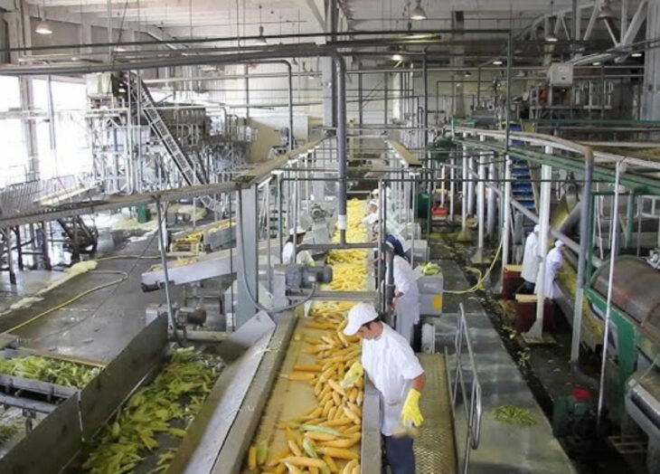 Producción industrias