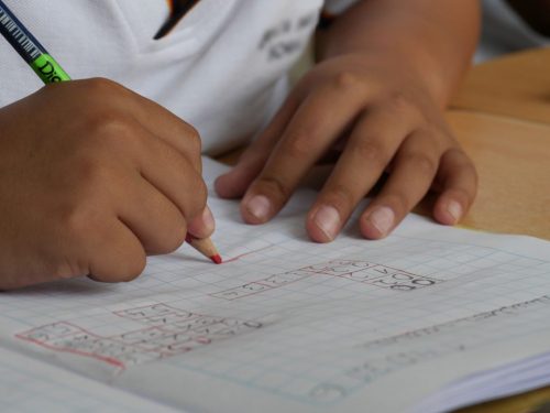 Tareas dirigidas