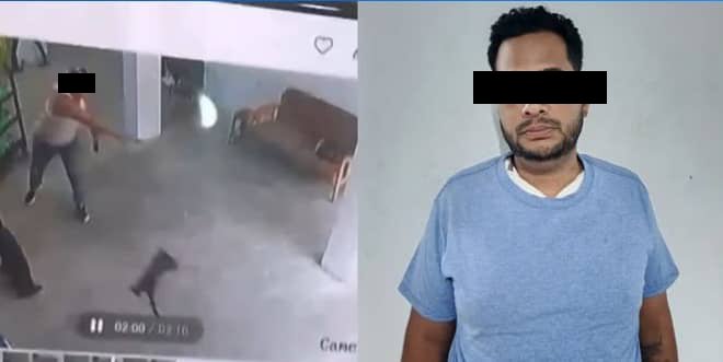 Detenido