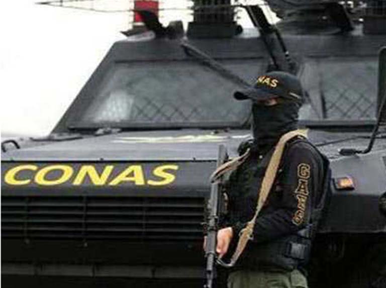 Colombia Police Arrest “Niño de las Nieves” Gang Members