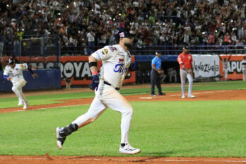 Tigres