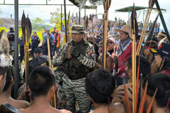 Unidades de milicia Amazonas