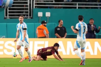 Vinotinto