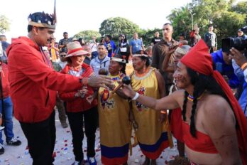 Resistencia indigena