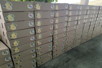 Envío frutas España