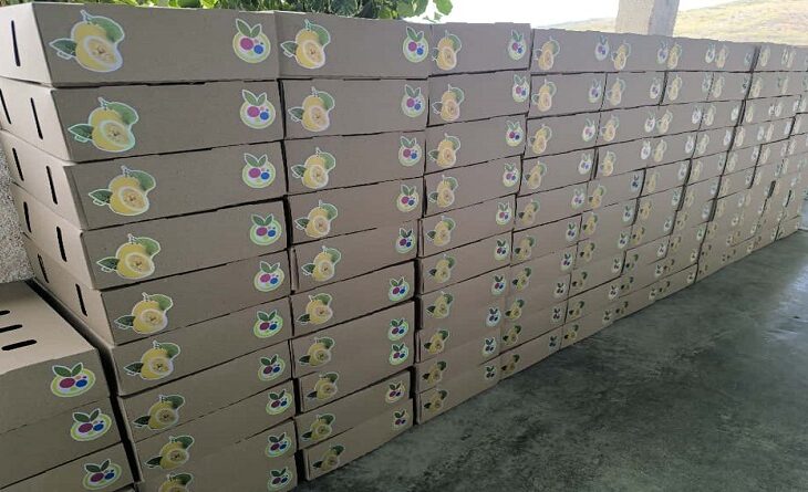 Envío frutas España