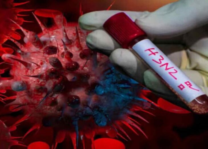 Ecuador influenza A (H3N2)