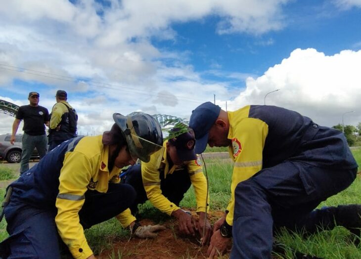 árboles de distinas especies en sede de Bomberos Unexpo