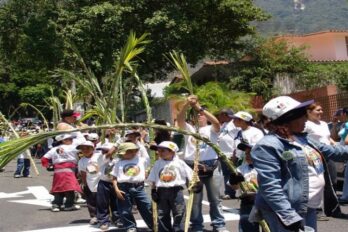 Palmeros de Venezuela