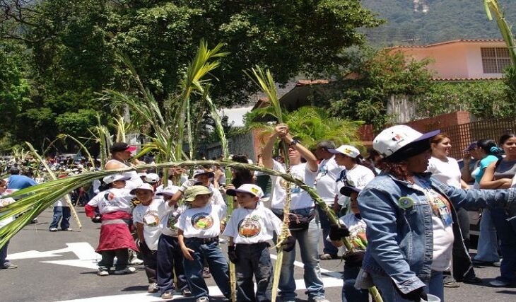 Palmeros de Venezuela