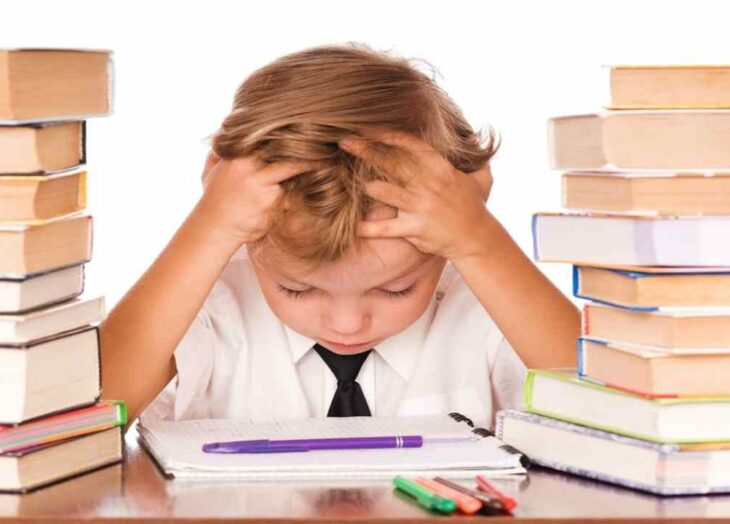 regulación de tareas escolares