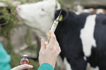 Vacunación fiebre aftosa Fedenaga