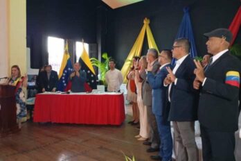 Parlamentarios consejos legislativos