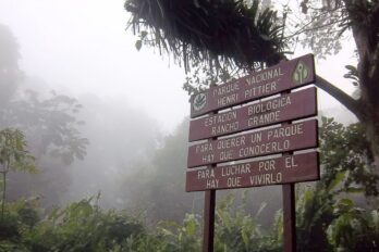 Parque Nacional Henri Pittier incendio