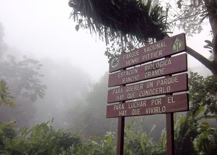 Parque Nacional Henri Pittier incendio