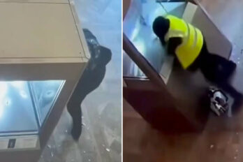 museo del Louvre robo