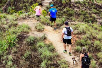 Serranía Las Delicias
