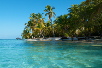 Adolescente Morrocoy