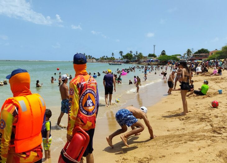 Platas aptas carnavales