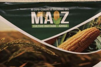Productores congreso maíz arroz