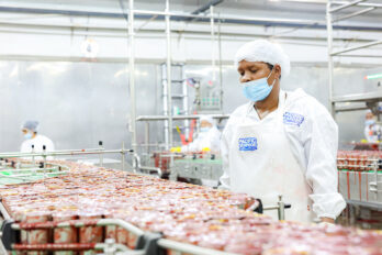 sector de pesca y acuicultura