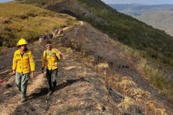 Incendios forestales