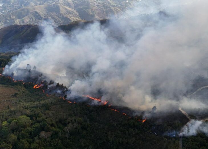 Incendios forestales