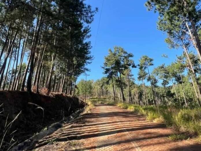 Parque Cerro El Café