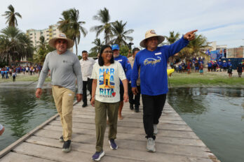 Presidenta encargada