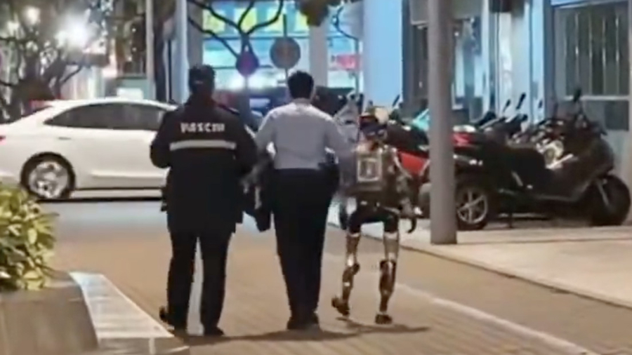 China: Elderly Woman Scared by Robot – Police Intervene