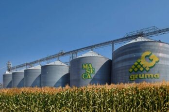 mercado venezolano Gruma