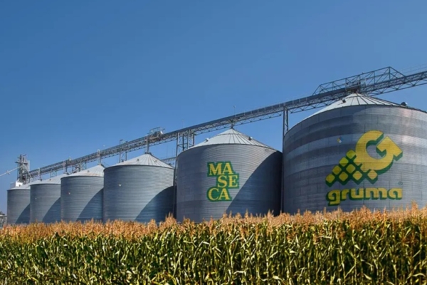mercado venezolano Gruma
