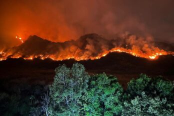 parque Henri Pittier