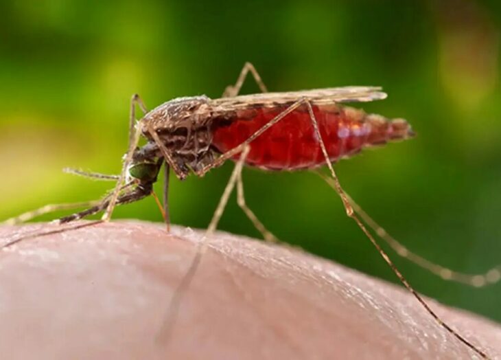 Boletín Epidemiológico