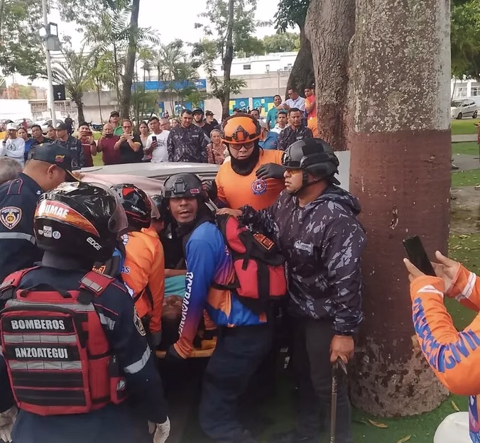 árbol Anzoátegui