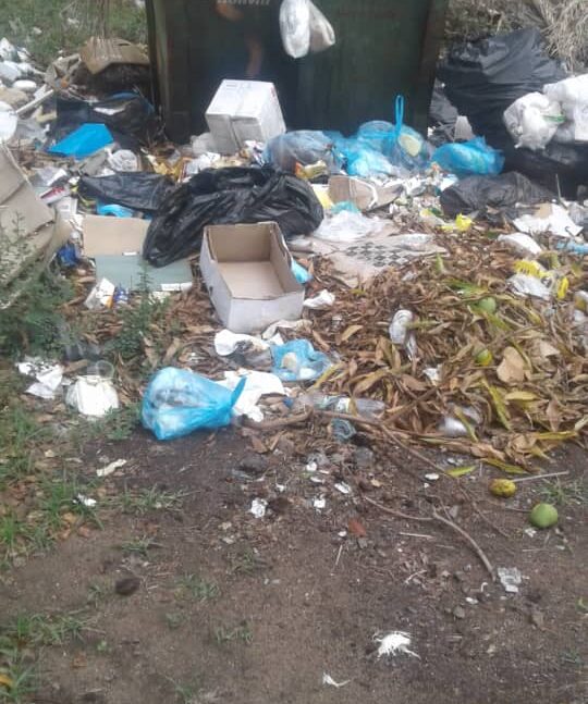 Falta de aseo urbano afecta a la iglesia San Buenaventura