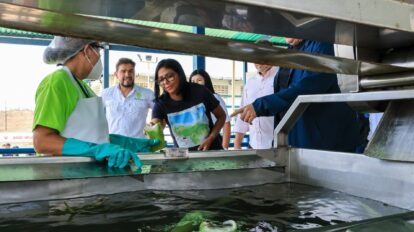 Delcy Rodríguez constata potencial biotecnológico de la planta “Bio Aloe”