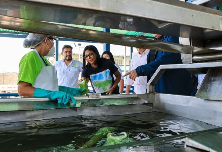 Delcy Rodríguez constata potencial biotecnológico de la planta “Bio Aloe”