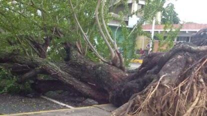 Fuertes vientos y alerta en temprana por lluvias en Barinas y Táchira