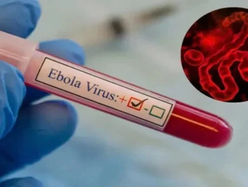 Ébola África