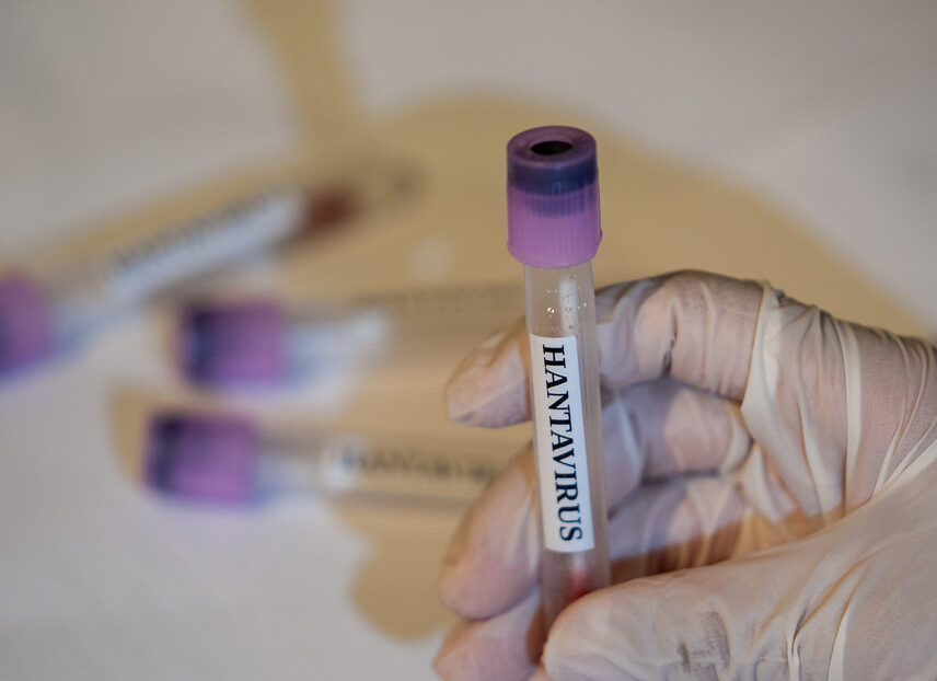 Francia hantavirus