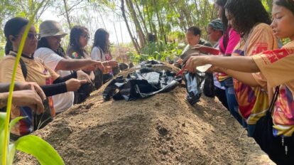 Misión Árbol avanza en el fortalecimiento de los viveros