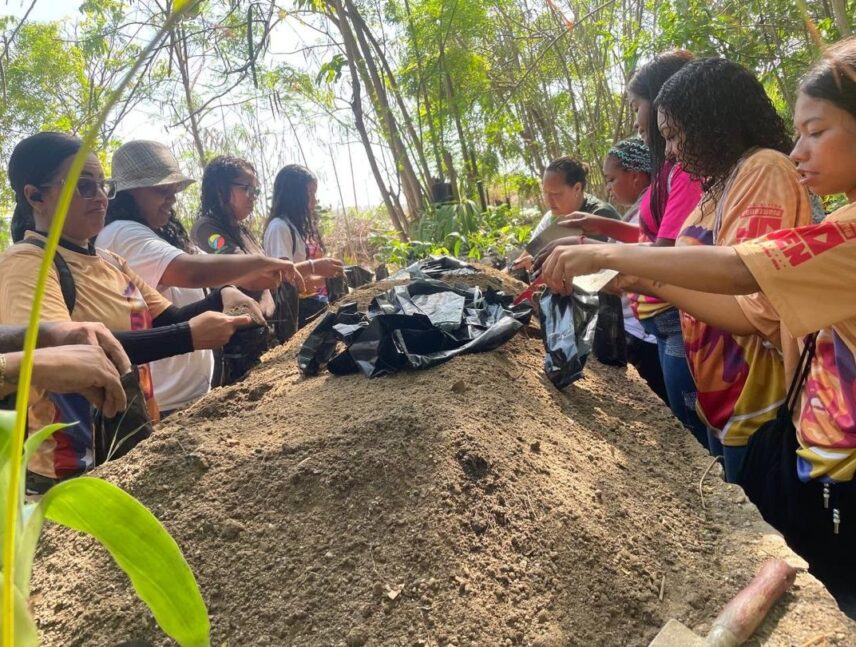 Misión Árbol avanza en el fortalecimiento de los viveros