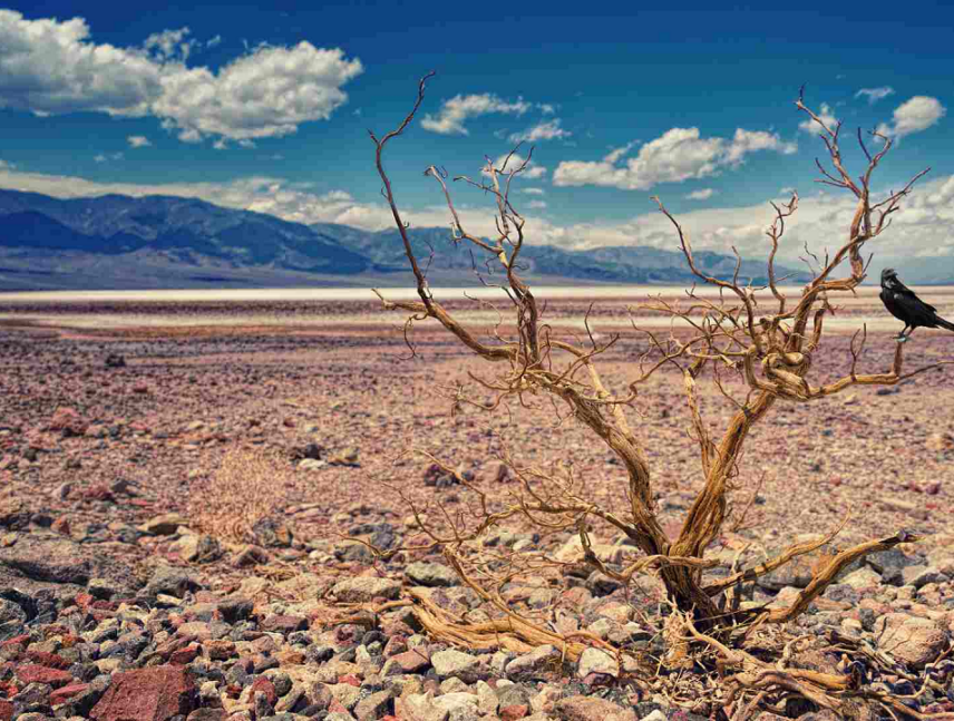 Panamá declara alerta por El Niño