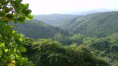 Parque Nacional Terepaima presidenta e