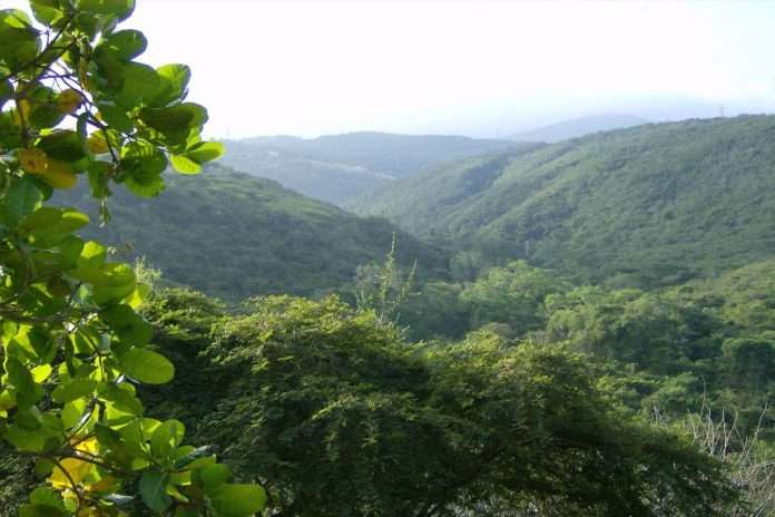 Parque Nacional Terepaima presidenta e